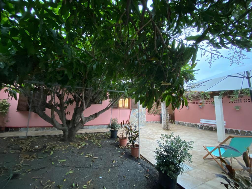 Casa Pepa Y Argeo Villa Mazo Exteriör bild